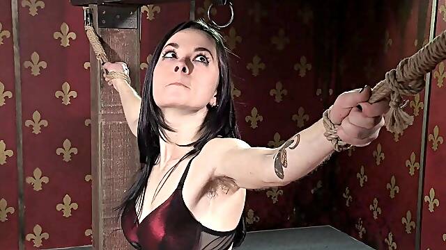 Bdsm Videos