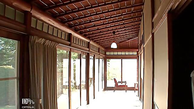 Japanese Videos